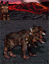 Cerberus