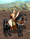 Nomad